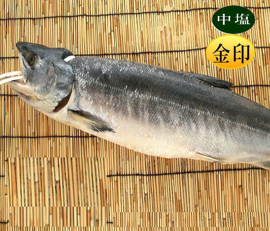 鮭一本物　商品画像