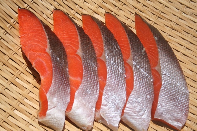 紅鮭