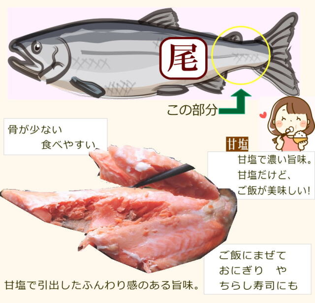 佐渡産ふっくら銀鮭　尾