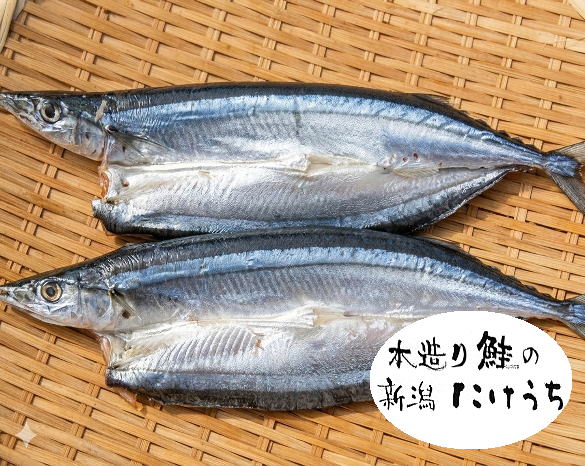 さんま２枚