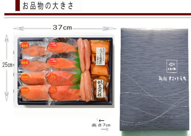 ACC100寸法