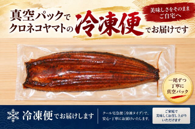 真空パック　冷凍便で