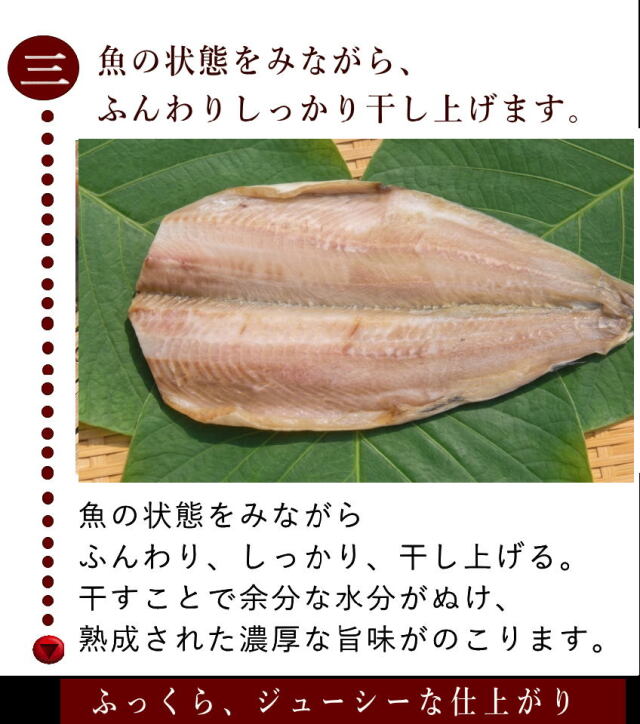 しまほっけ説明