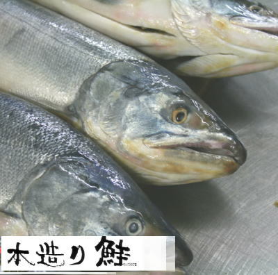 鮭3