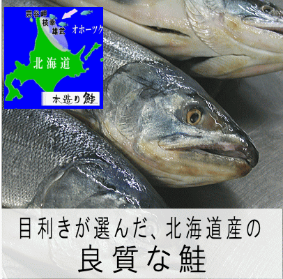 良質な原料　鮭