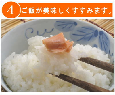 鮭　白いご飯