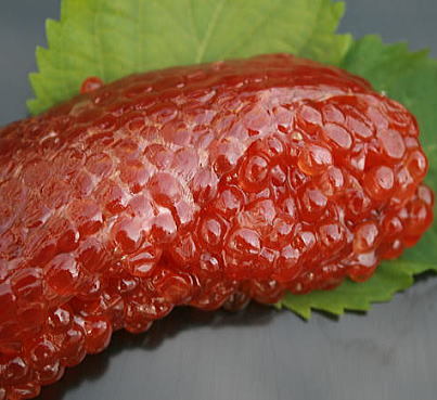 筋子(秋鮭の子】