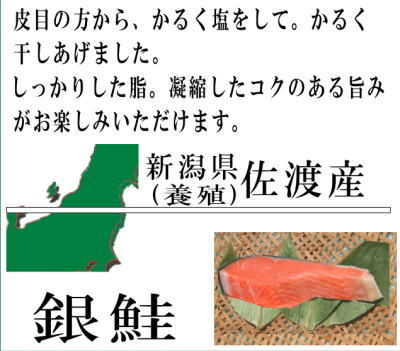 佐渡の銀鮭