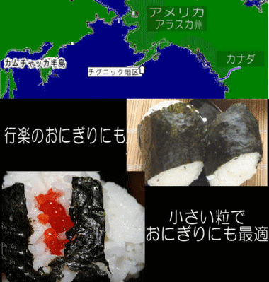 筋子　アラスカ