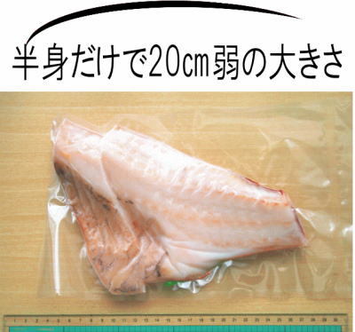 赤魚超特大　真空