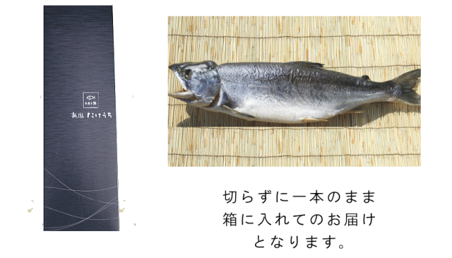 鮭　一本物　梱包