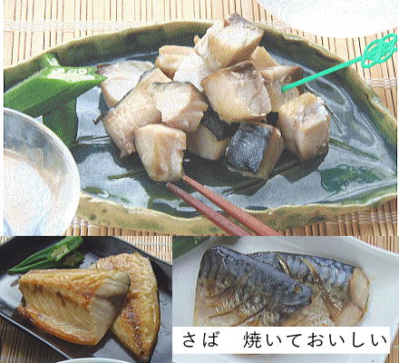 のさば さば干し（3枚）｜鮭の店【新潟たけうち】