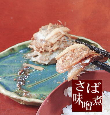 さば味噌煮