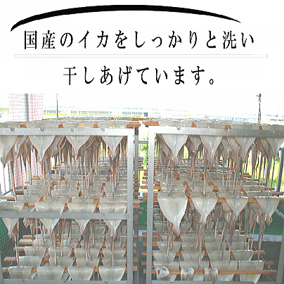 昆布いか１枚