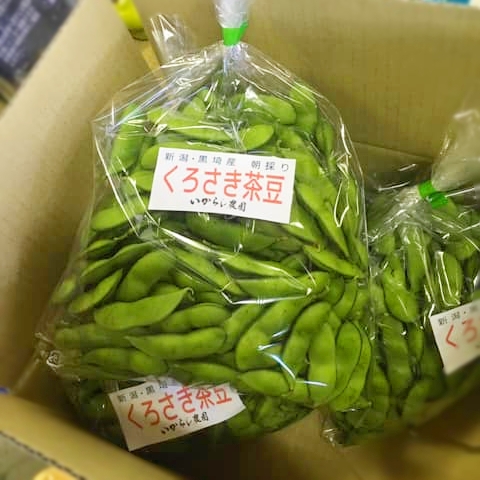 黒埼産早生茶豆新潟系14号2kgいからし農園・お中元にも｜新潟朱鷺