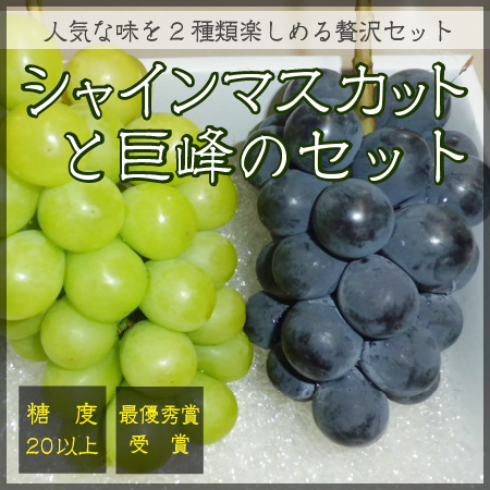シャインマスカットと巨峰