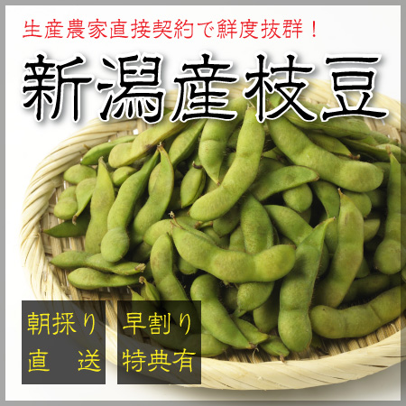 枝豆　　10キロ　9月30日終了 予約限定・締切10月2日】京都産 丹波黒枝豆1.2kg（400g×3袋