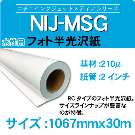 NIJ-MSG-1067x30m.jpg