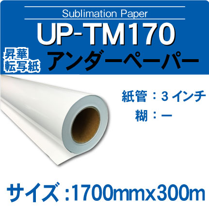 up-tm170-1700x300m