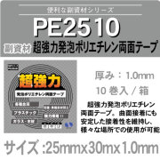 PE2510