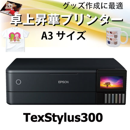 texstylus300-1