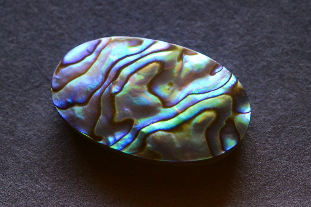 アバロンシェル【10】ルース・カボション（33.5×21mm）