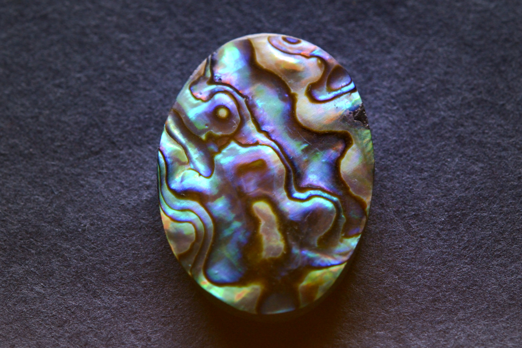 アバロンシェル【12】ルース・カボション（33×24mm）