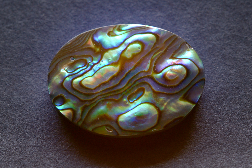 アバロンシェル【13】ルース・カボション（32.5×24.5mm）