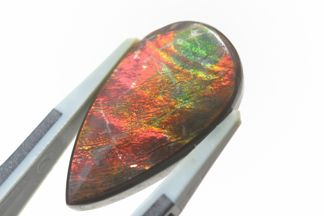 アンモライト【1】ルース・カボション（23×13mm）