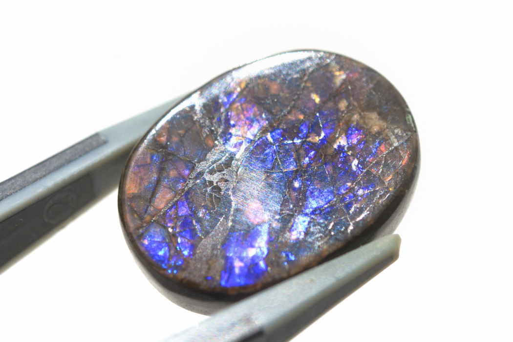 アンモライト【9】ルース・カボション（20.5×16mm）
