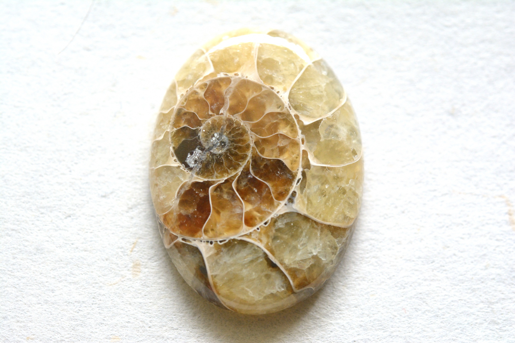 アンモナイト 化石【7】ルース・カボション（27.5×20mm）