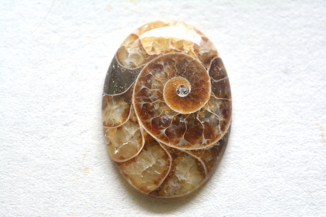 アンモナイト 化石【8】ルース・カボション（27×19.5mm）