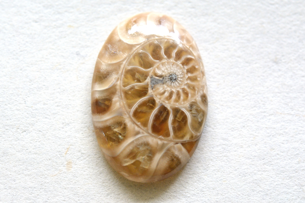 アンモナイト 化石【12】ルース・カボション（25×17mm）