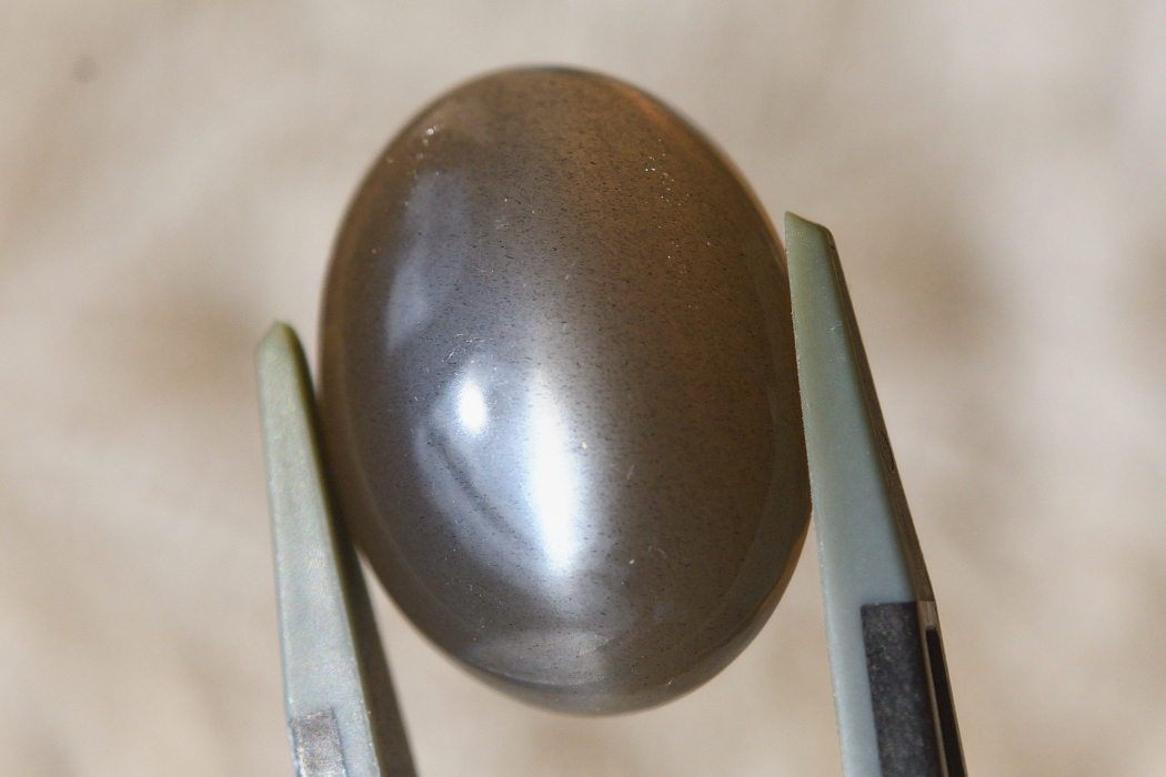 ブラックムーンストーン (スター) 【4】天然石ルース・カボション（18.5×14.5mm）