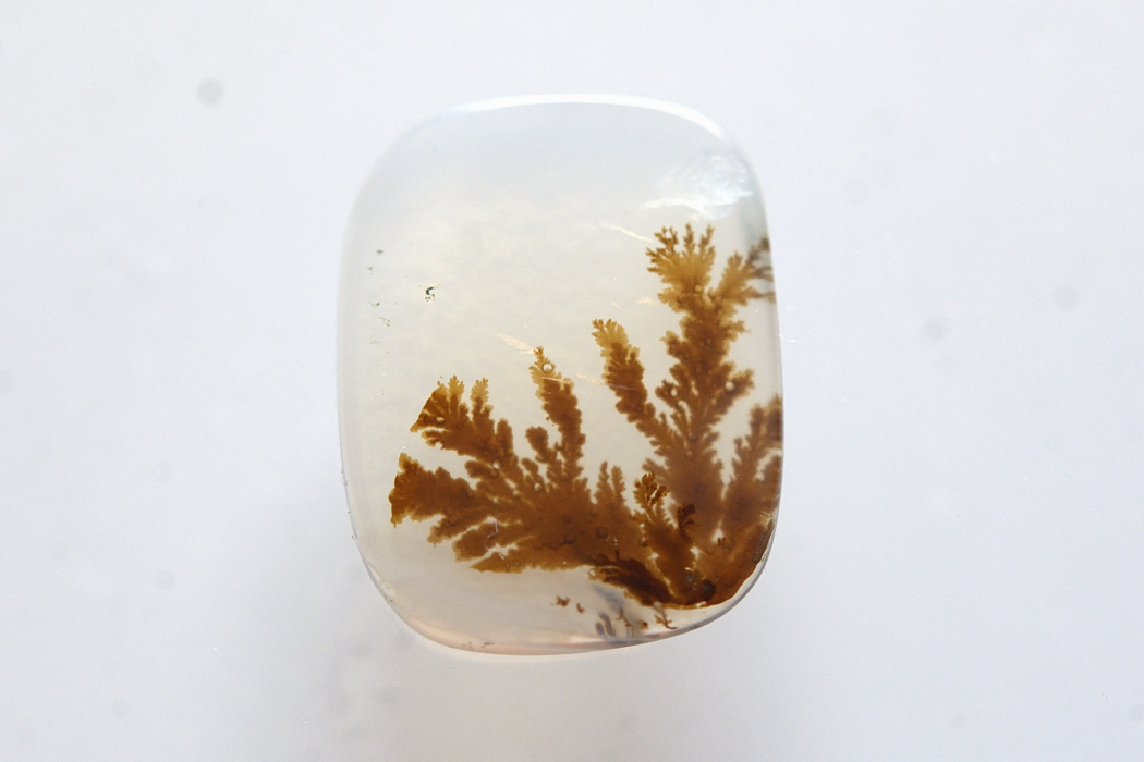 デンドリティックアゲート【20】ルース・カボション　（13×10mm）