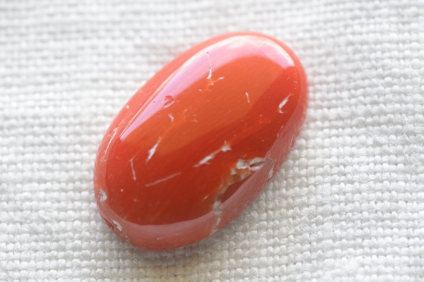 天然赤珊瑚【4】ルース・カボション　（17.5×11mm）