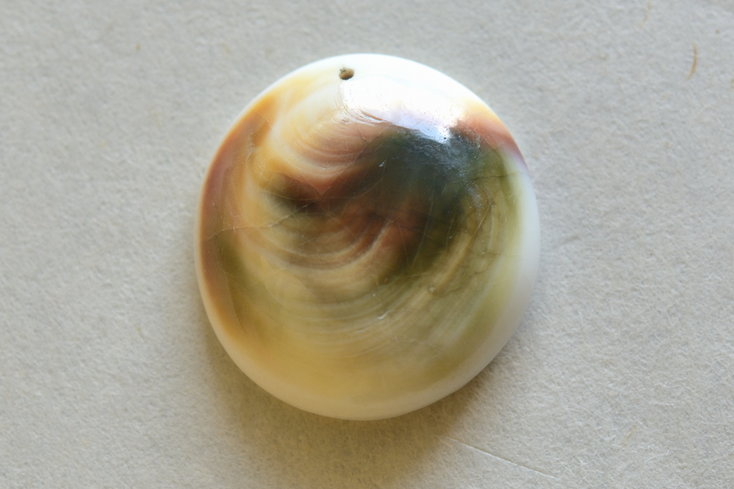 シヴァアイ（穴あき）【1】ルース・カボション（25.5×24mm）