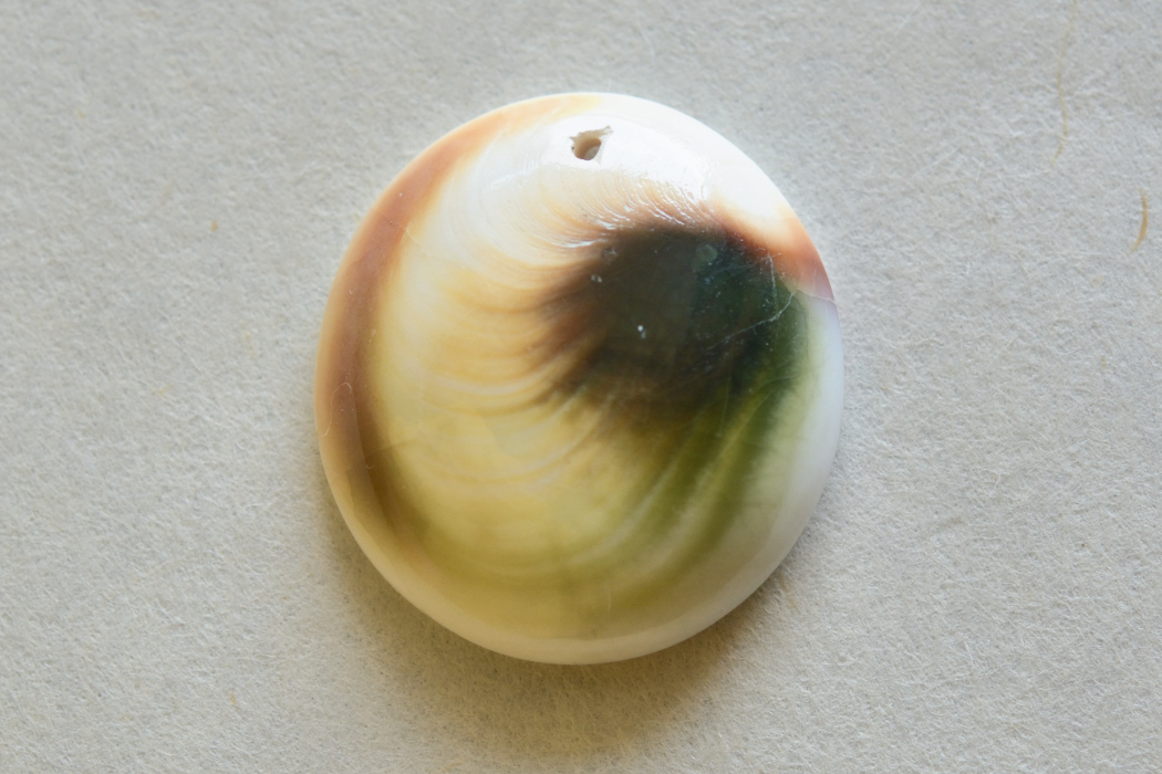シヴァアイ（穴あき）【4】ルース・カボション（24×22mm）