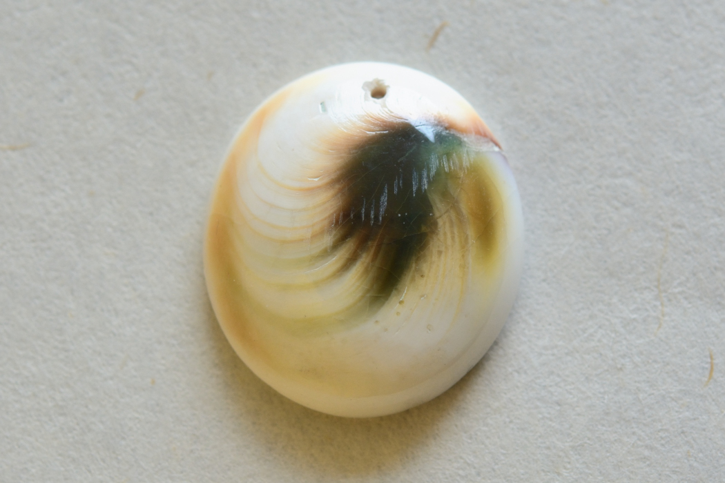 シヴァアイ（穴あき）【6】ルース・カボション（25×22.5mm）