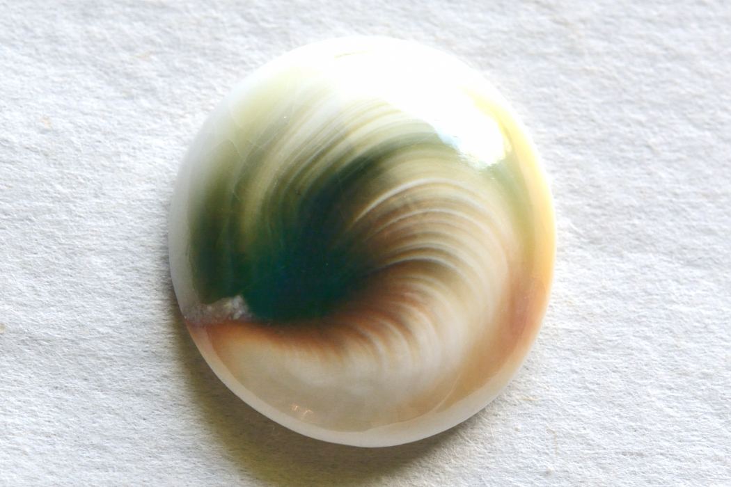 シヴァアイ【10】ルース・カボション（24×22.5mm）