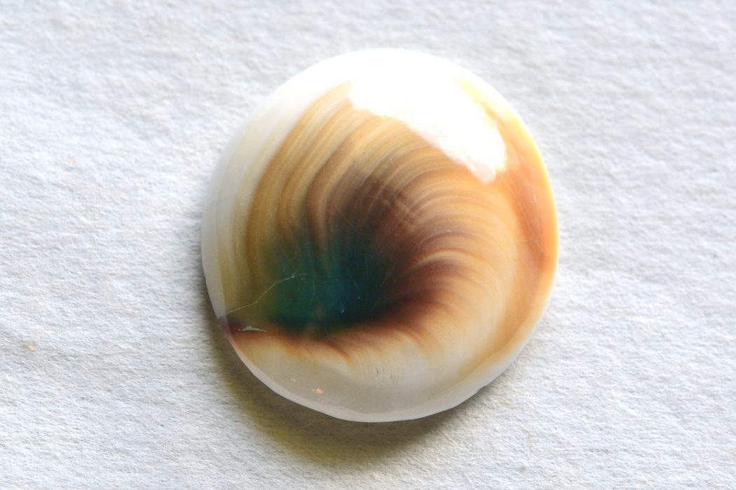 シヴァアイ【11】ルース・カボション（25×23.5mm）