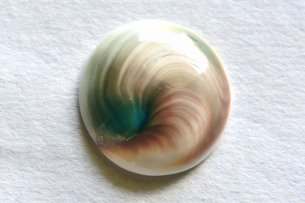 シヴァアイ【12】ルース・カボション（25×24mm）
