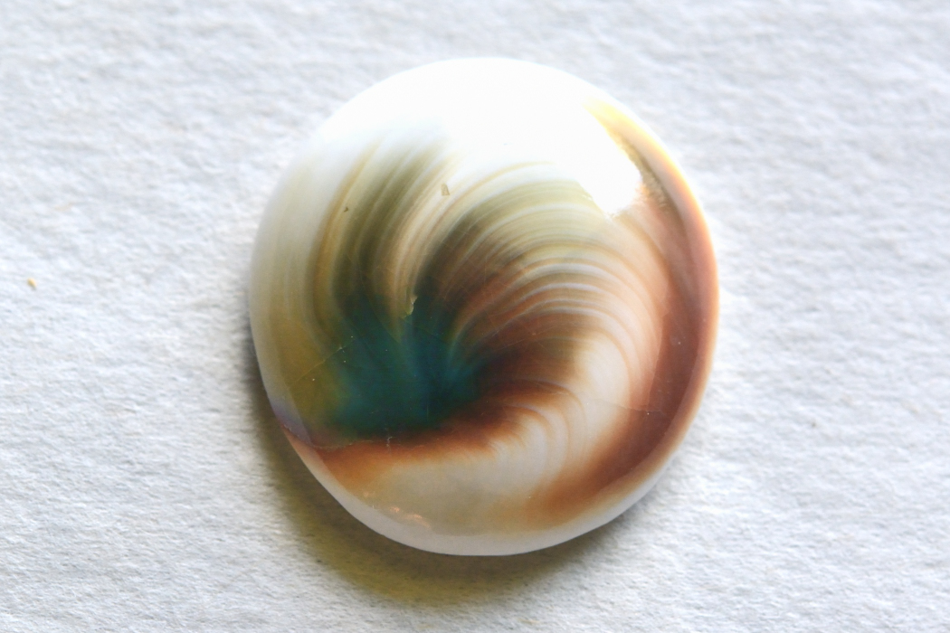 シヴァアイ【16】ルース・カボション（24.5×23mm）