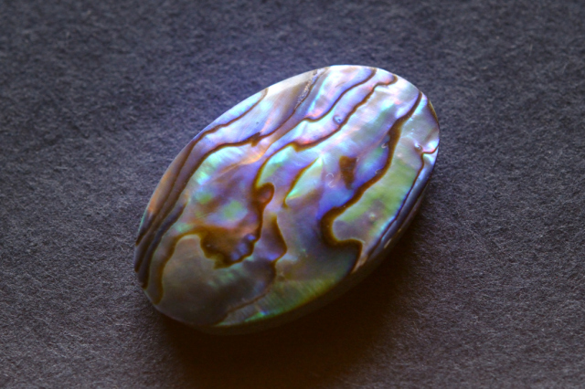 アバロンシェル【14】ルース・カボション（27.5×17mm）
