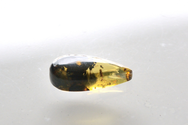 アンバー（琥珀）【51】天然石ルース・カボション（20×9mm）