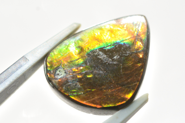 アンモライト【6】ルース・カボション（20×16mm）