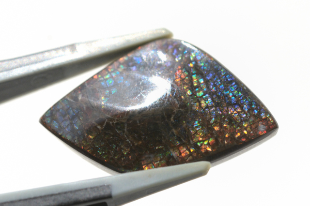 アンモライト【7】ルース・カボション（27×16.5mm）