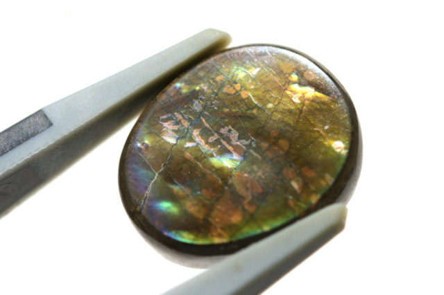 アンモライト【8】ルース・カボション（14×12mm）