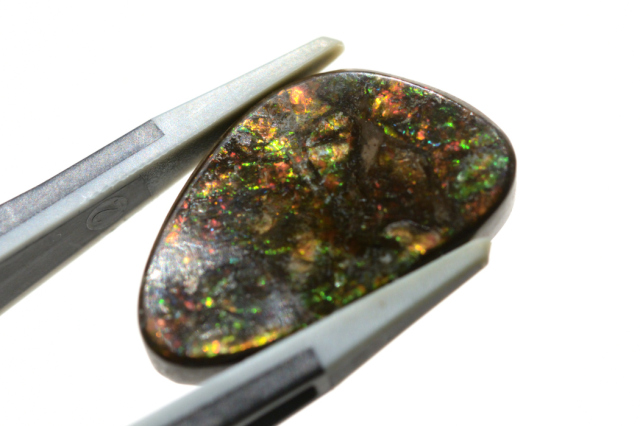 アンモライト【10】ルース・カボション（22×13.5mm）