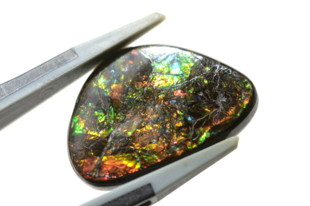 アンモライト【12】ルース・カボション（22.5×15.5mm）